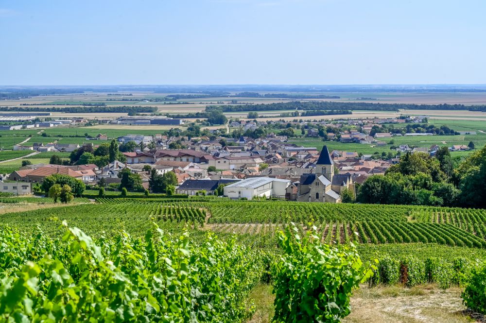 Le Mesnil-sur-Oger