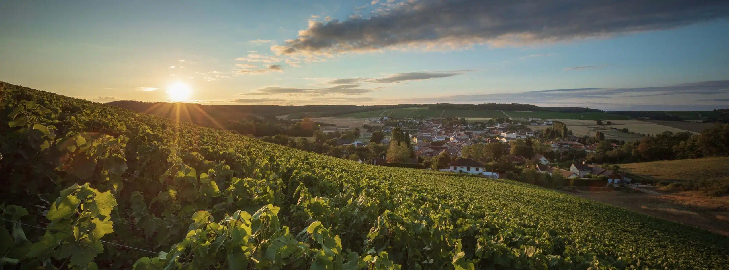 Ville-sur-Arce